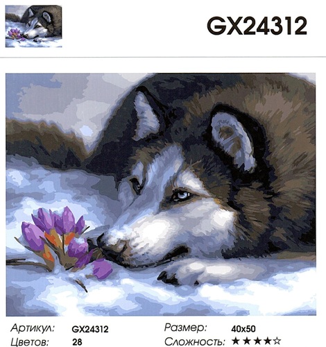 GX24312 "  ", 4050  (,  1)