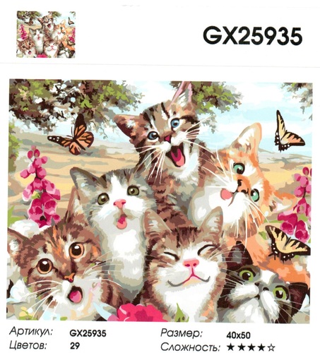  GX25935 " ", 4050 
