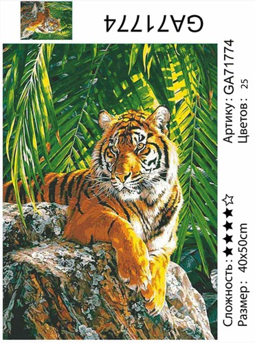 АМ45 GA71774"Тигр лежит на камне", 40х50 см