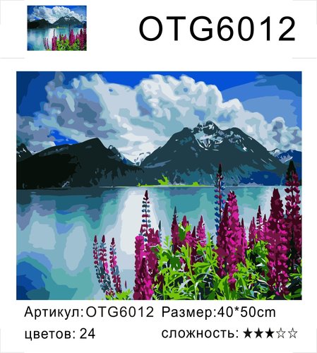  OTG6012 "    ", 4050 