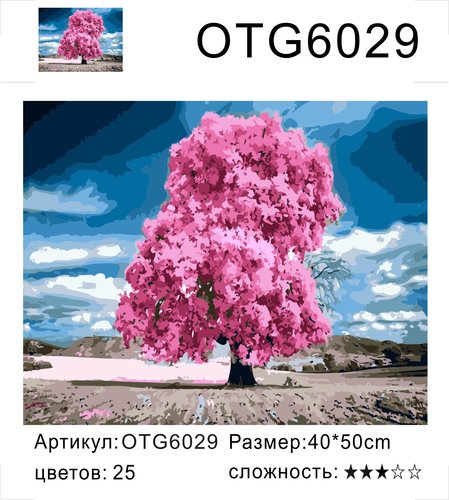  OTG6029 " ", 4050 