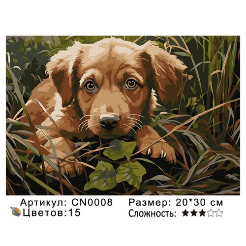 PH23 CN0008, 20х30 см (фото)