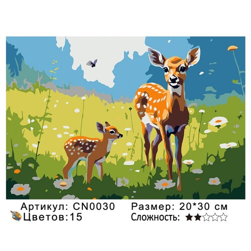 PH23 CN0030, 20х30 см (фото)