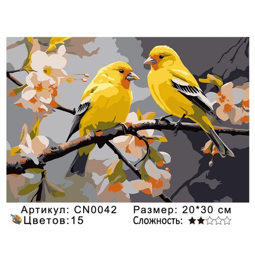 PH23 CN0042, 20х30 см (фото)