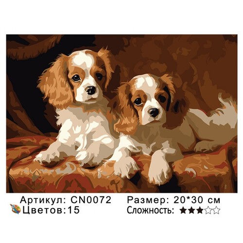 PH23 CN0072, 20х30 см (фото)