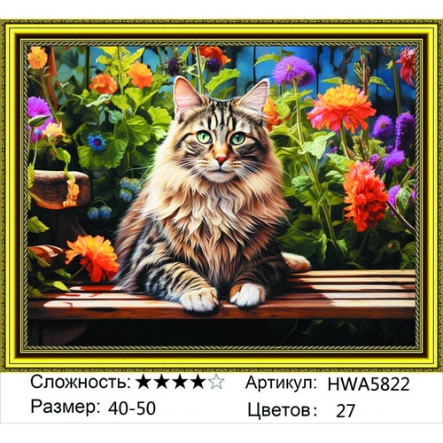 AM 40х50 HWA5822