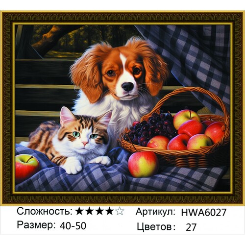AM 40х50 HWA6027