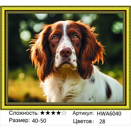 AM 40х50 HWA6040