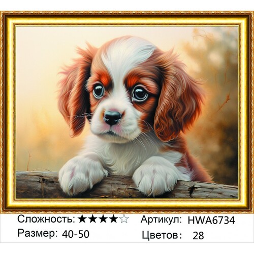 AM 40х50 HWA6734