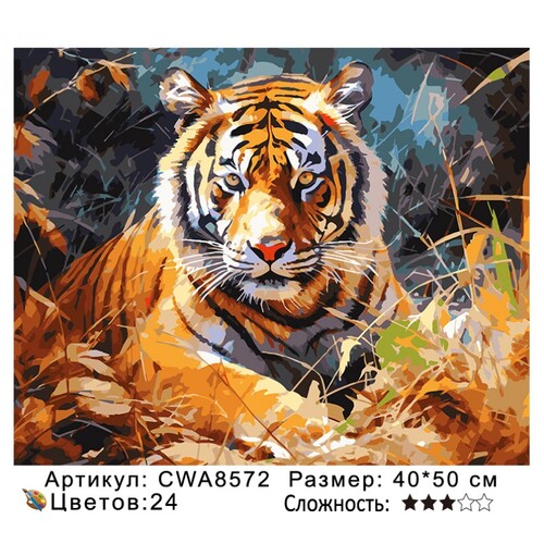 PH 4050 CWA8572 ()
