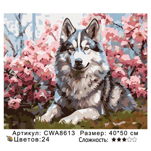 PH 40х50 CWA8613 (фото)