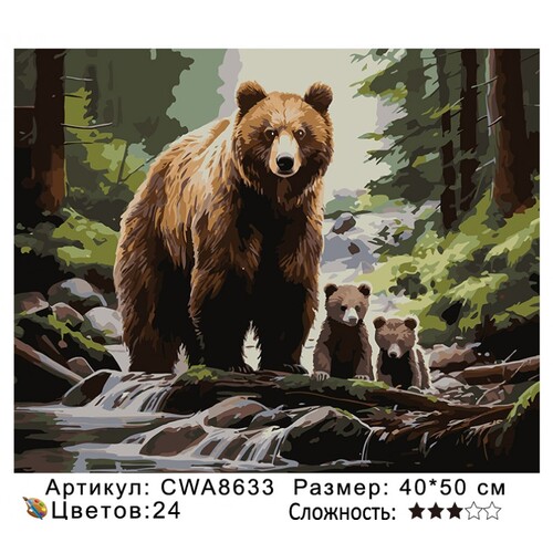 PH 40х50 CWA8633 (фото)