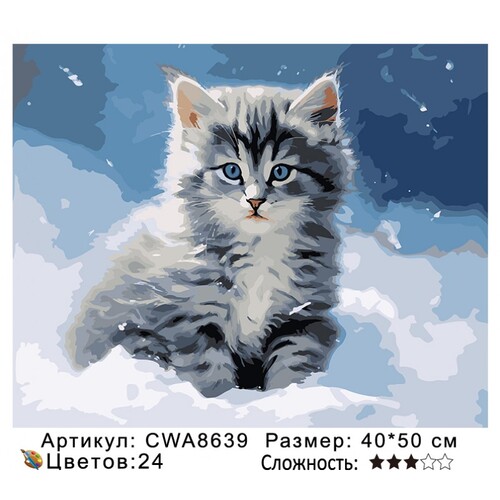 PH 40х50 CWA8639 (фото)
