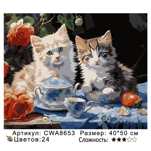 PH 40х50 CWA8653 (фото)