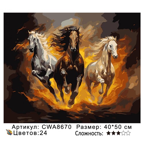 PH 40х50 CWA8670 (фото)