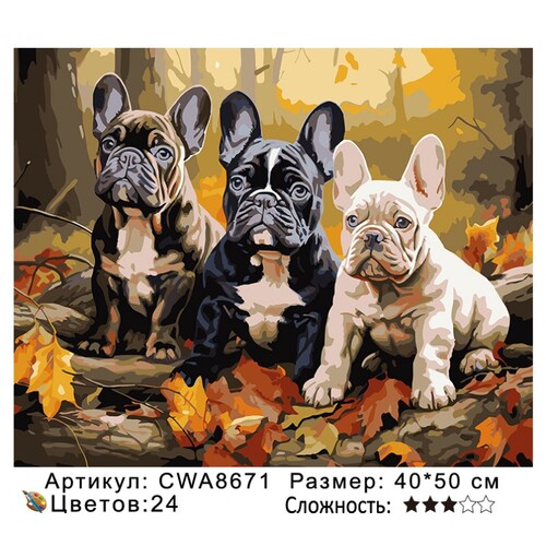 PH 40х50 CWA8671 (фото)