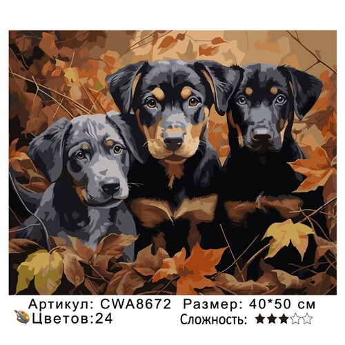 PH 40х50 CWA8672 (фото)