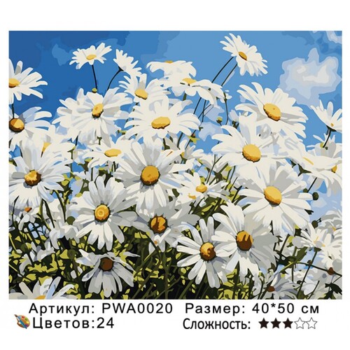 PH 4050 PWA0020 ()