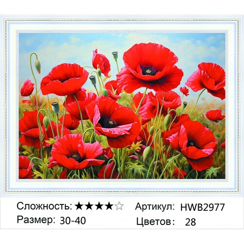 AM 30�40 HWB2977