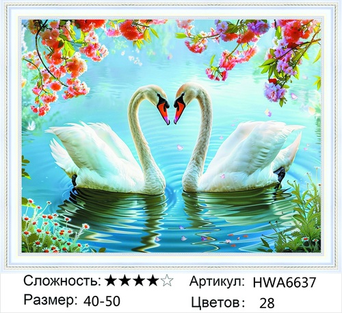 �� 40�50 HWA6637+ (����)