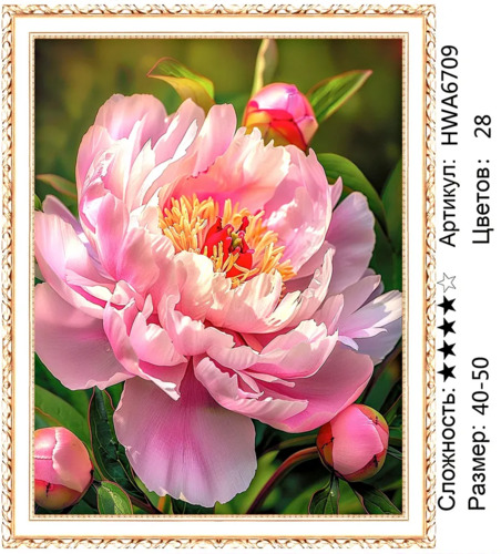 �� 40�50 HWA6709