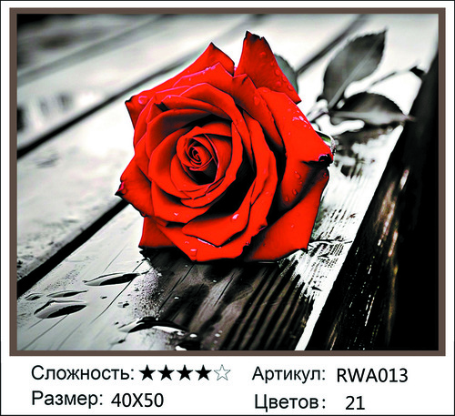 �� 40�50 RWA013+ (����)