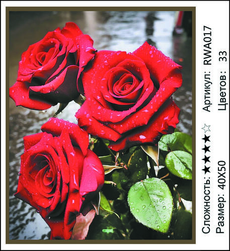 AM 40x50 RWA017 (����)