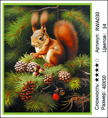 AM 40x50 RWA030 (����)