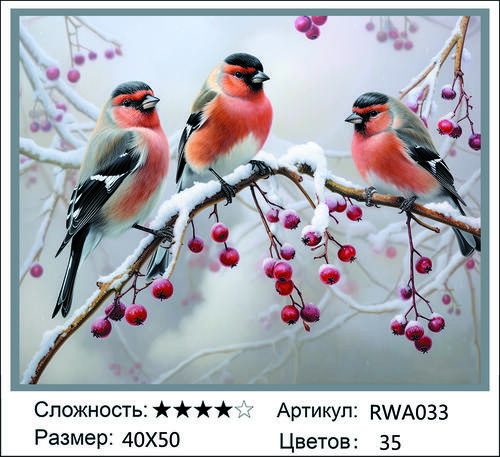 AM 40x50 RWA033 (����)