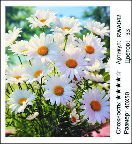 AM 40x50 RWA042 (����)