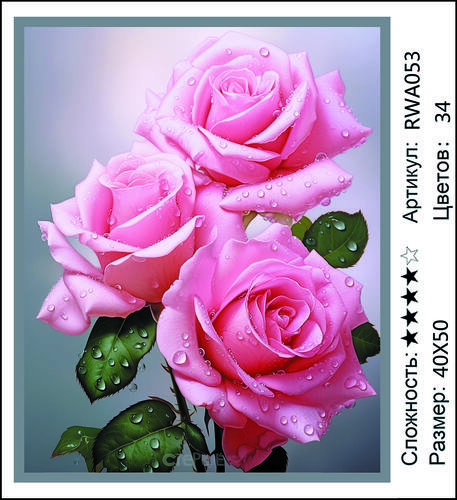 AM 40x50 RWA053 (����)