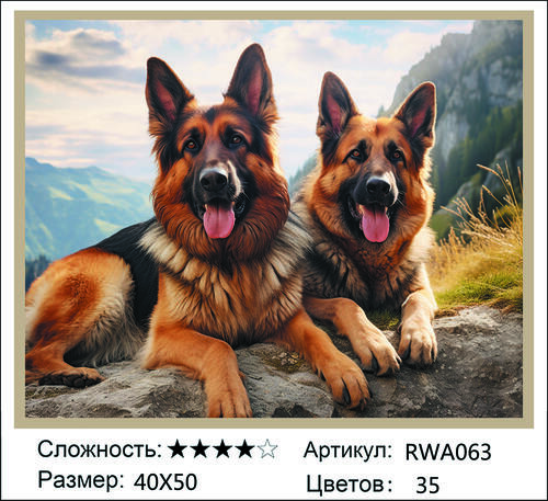 AM 40x50 RWA063 (����)