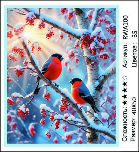 AM 40x50 RWA100 (����)