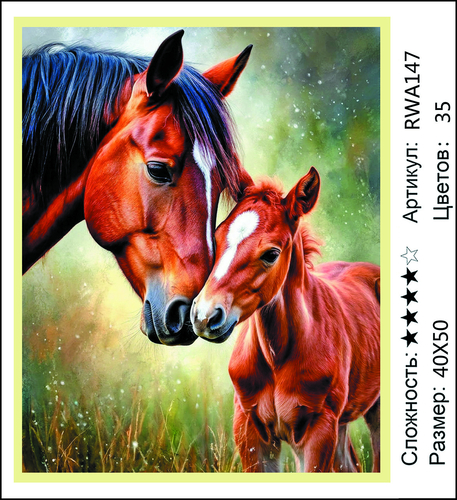 AM 40x50 RWA147 AM 40x50 RWA147 (фото)