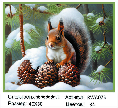 AM 40x50 RWA075 AM 40x50 RWA075 (фото)