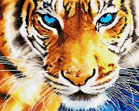 Тигр С Голубыми Глазами Фото