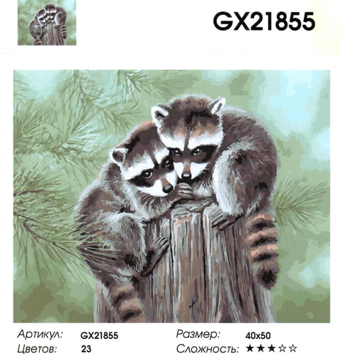  GX21855 "   ", 4050 
