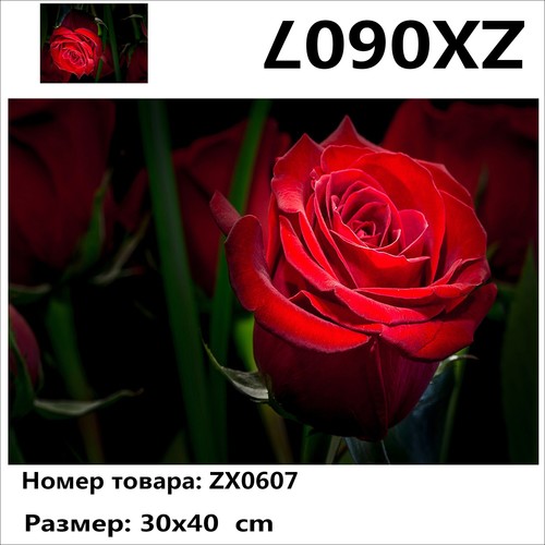 34 ZX0607 "   ", 3040 