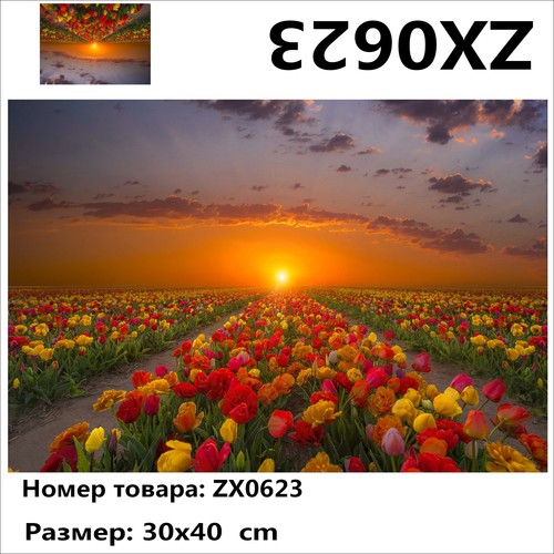 34 ZX0623 "  ", 3040 