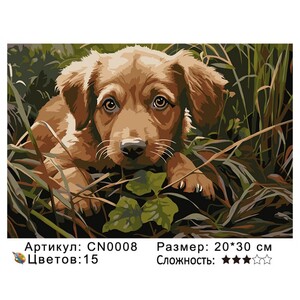 PH23 CN0008, 2030 