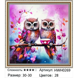 AM33 HWH0269, 30�30 ��