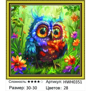 AM33 HWH0351, 30�30 ��