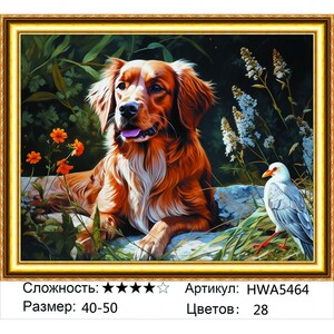 AM 40х50 HWA5464