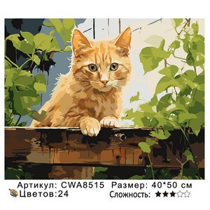 PH 40х50 CWA8515