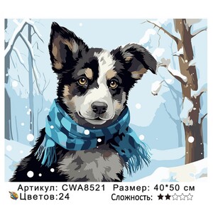 PH 40х50 CWA8521