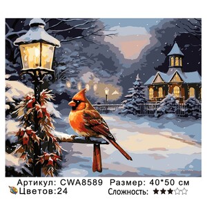 PH 40х50 CWA8589