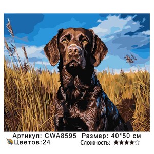 PH 40х50 CWA8595