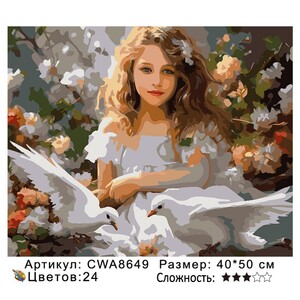 PH 4050 CWA8649