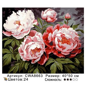 PH 4050 CWA8663