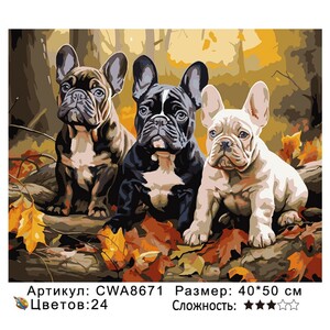 PH 4050 CWA8671